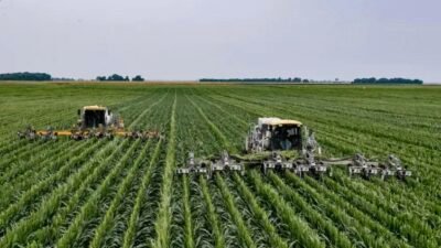 União Europeia simplifica regras para agricultores e aumenta subsídios