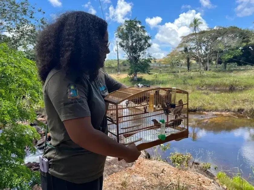 A incrível reintegração de animais silvestres pelo CETAS