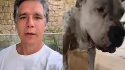 A luta de Márcio Garcia pela saúde do cachorro Dogo em tratamento