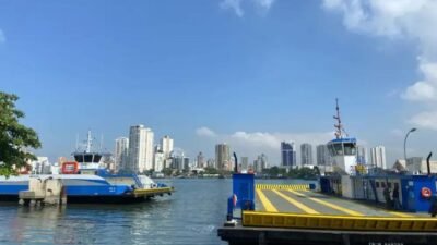 Cachorro é resgatado em travessia de ferryboat em São Sebastião