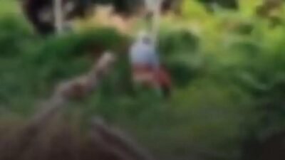 Casal idoso é flagrado em momentos íntimos no parque; confira o vídeo