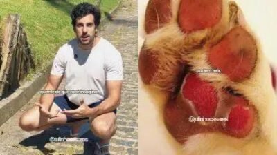 Cuidados essenciais para proteger as patas do seu cão no verão