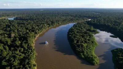Desmatamento na Amazônia e Cerrado atinge menores índices históricos