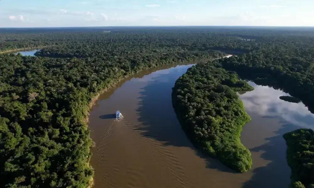 Desmatamento na Amazônia e Cerrado atinge menores índices históricos