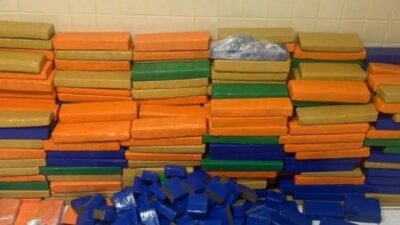 PM apreende quase uma tonelada de maconha em operação na Bahia