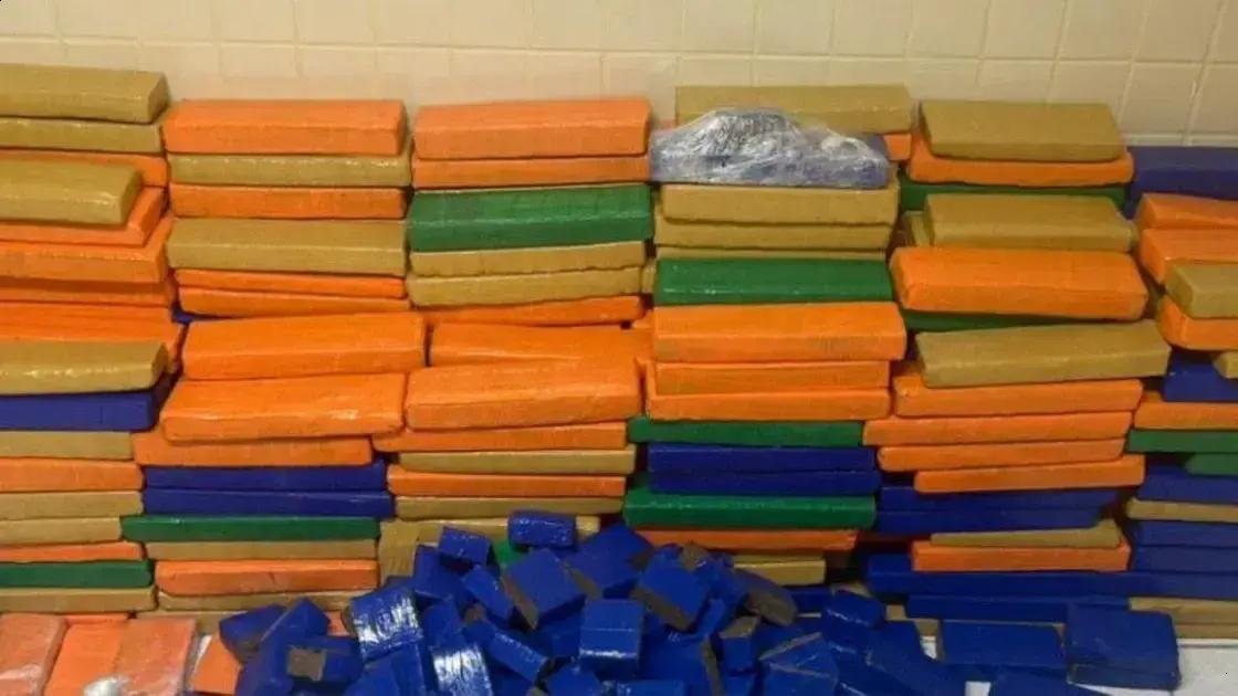 PM apreende quase uma tonelada de maconha em operação na Bahia