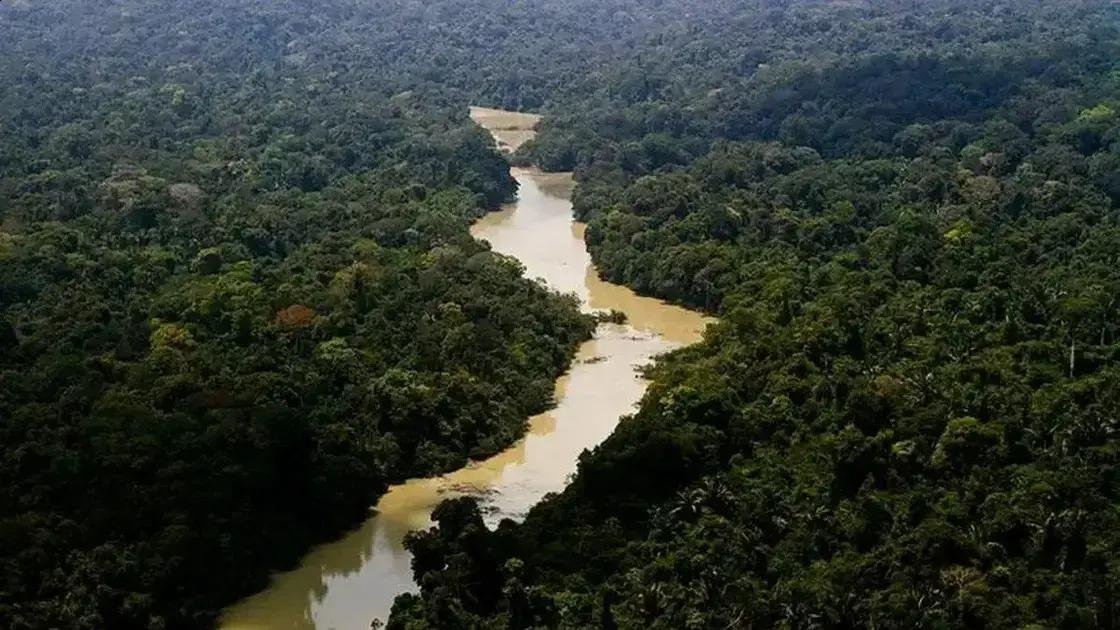 Proposta do MP pode beneficiar maior desmatador da Amazônia