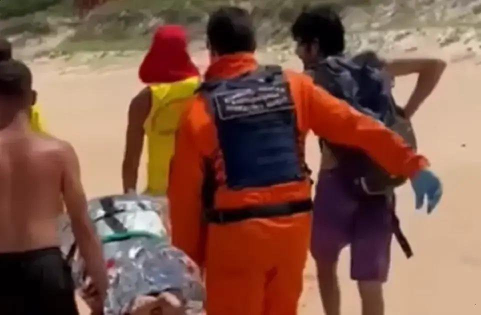 Psicóloga é atacada por capivara enquanto mergulhava em Florianópolis