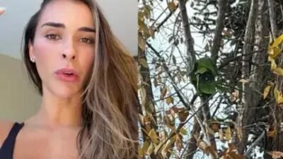 Tainá Militão encontra câmera disfarçada em árvore e aciona a polícia