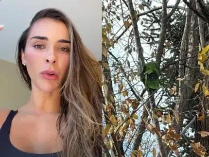 Tainá Militão encontra câmera disfarçada em árvore e aciona a polícia