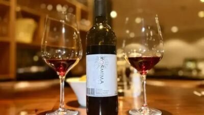 A nova onda dos vinhos tintos leves: frescor e sofisticação à mesa