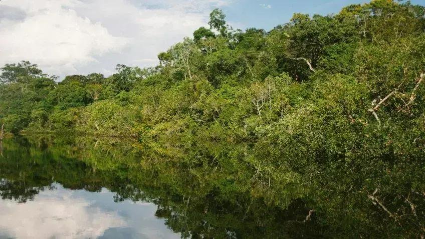 Desmatamento na Amazônia: Impactos severos no clima e biodiversidade