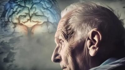 Desvendando a relação entre o olfato e o Alzheimer: o que você precisa saber