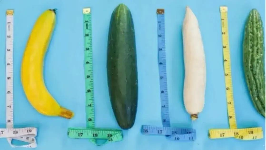 Estudo australiano revela que o tamanho realmente importa para a atratividade