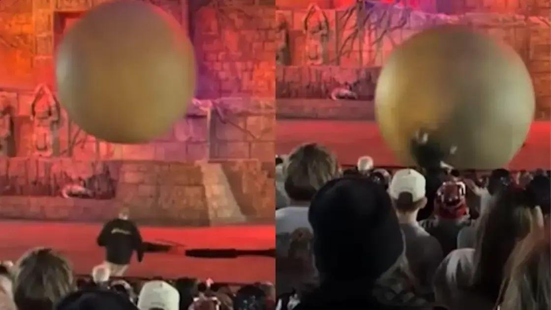 Herói da Disney: Funcionário Salva Público de Tragédia em Show