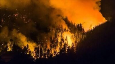 Incêndios na Patagônia: Bombeiros lutam contra chamas devastadoras