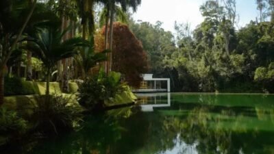 Inhotim: Destino Imperdível em 2026 segundo o New York Times