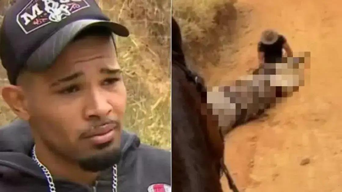 Jovem preso após mutilar cavalo em operação do Comando Vermelho