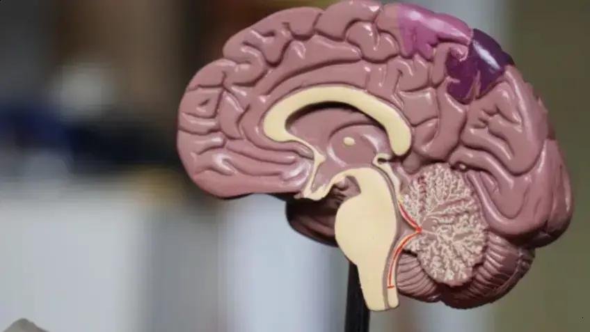 Leqembi: o novo medicamento que pode ajudar no tratamento da Alzheimer