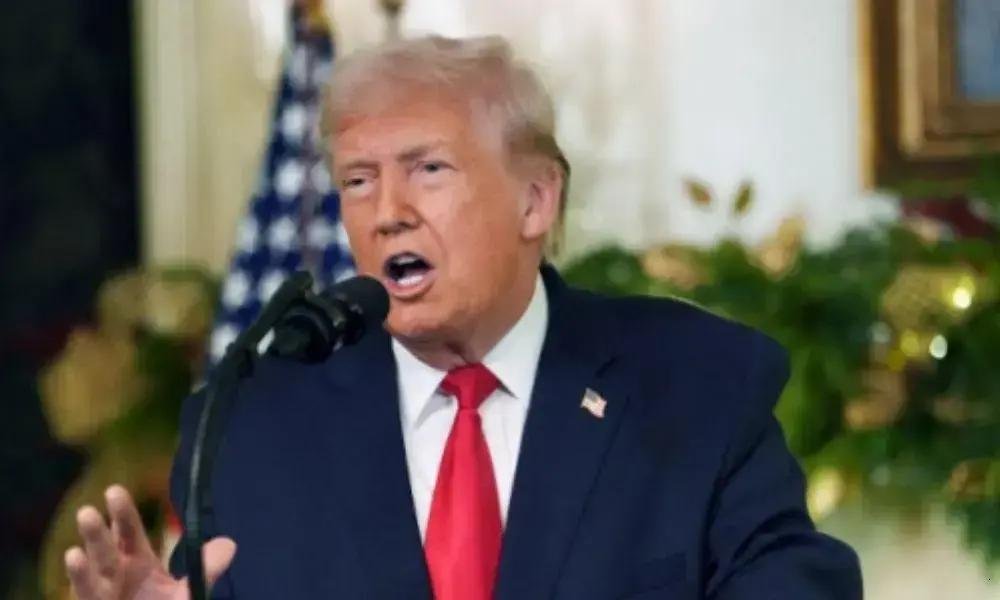 Um ano de Trump: tensões, tarifas e polarização na política americana