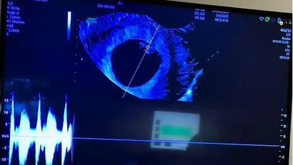 Bil Araújo anuncia que será pai: 'Começa o capítulo mais lindo'