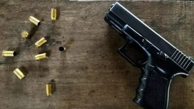 Comissão aprova veto que impede armas a investigados por agressões