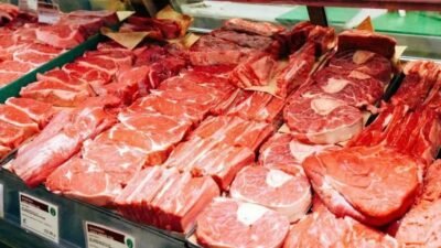 Coreia do Sul avança na abertura do mercado para carne bovina brasileira