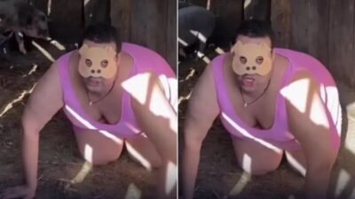 Homem viraliza dentro de chiqueiro ao dizer que se identifica como porco