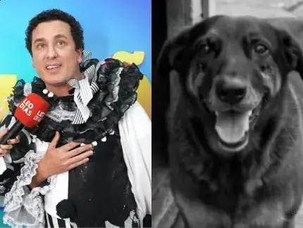 Rafael Portugal anuncia vaquinha em prol da causa animal e agradece Leo Dias