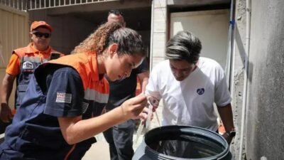 São Paulo: 75% dos focos do Aedes estão em residências — como agir