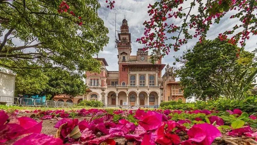 Museus interativos em SP e RJ: opções ideais para dias de chuva