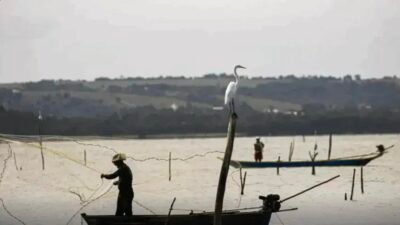 TCU aponta 70% de aquicultores informais e cobra ações do governo