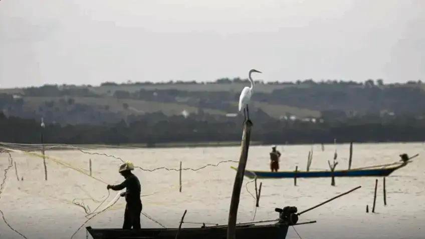 TCU aponta 70% de aquicultores informais e cobra ações do governo
