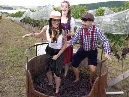 Vindima no Terroir Divisa: colheita de Merlot e pisa da uva na Serra