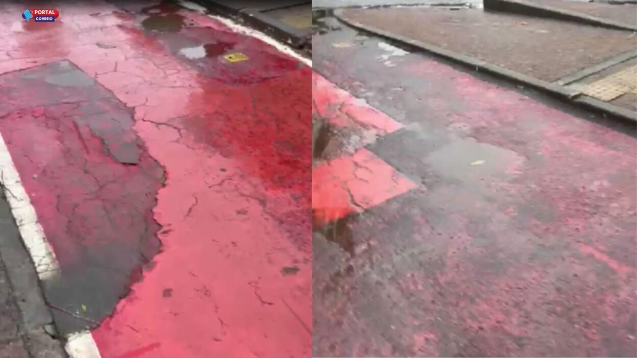 Ciclovia em bairro nobre de Salvador apresenta estado crítico; veja o vídeo