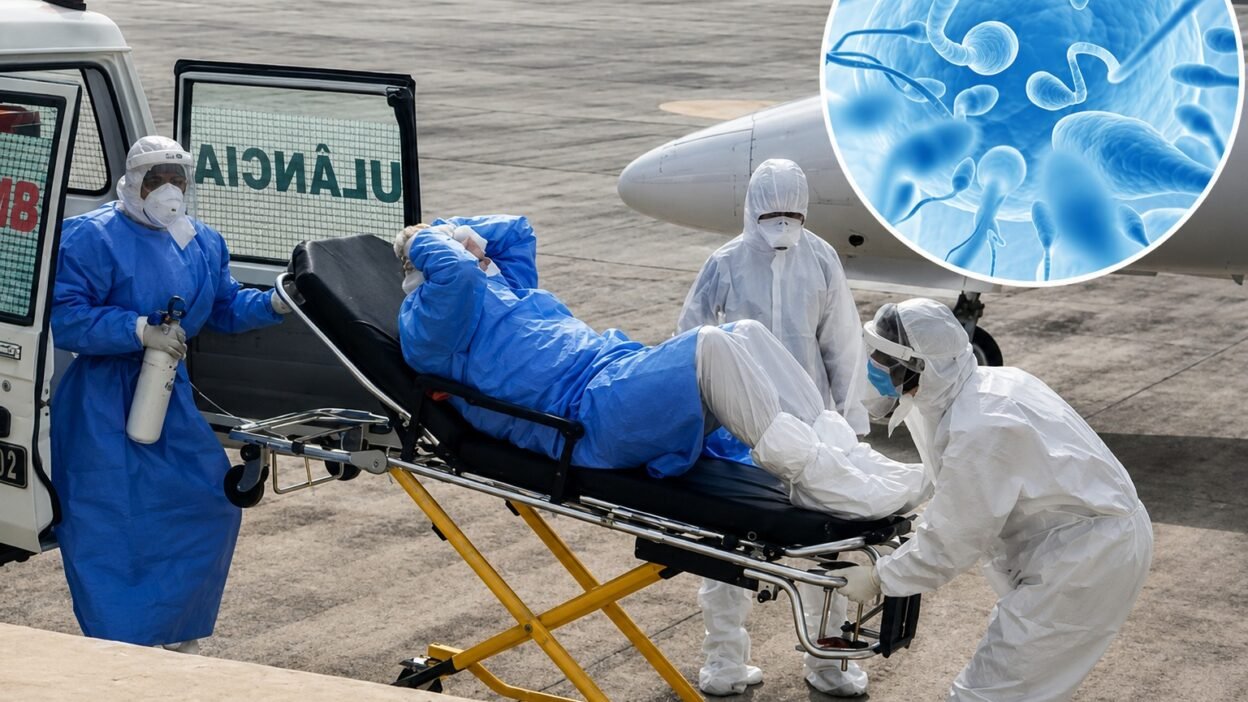 Cuidado: hantavírus pode ser confundido com gripe; entenda os sinais de alerta
