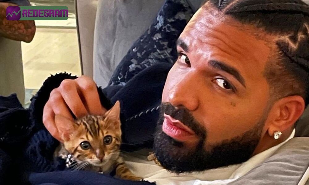 Drake surpreende fãs com o maior lançamento de sua carreira: 43 músicas novas