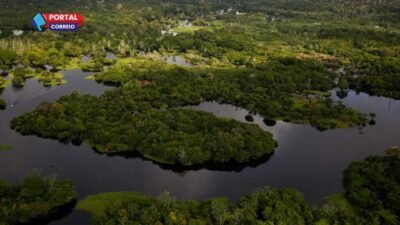 Fundo Amazônia injeta R$ 150 mi em pesquisas para produção sustentável regional