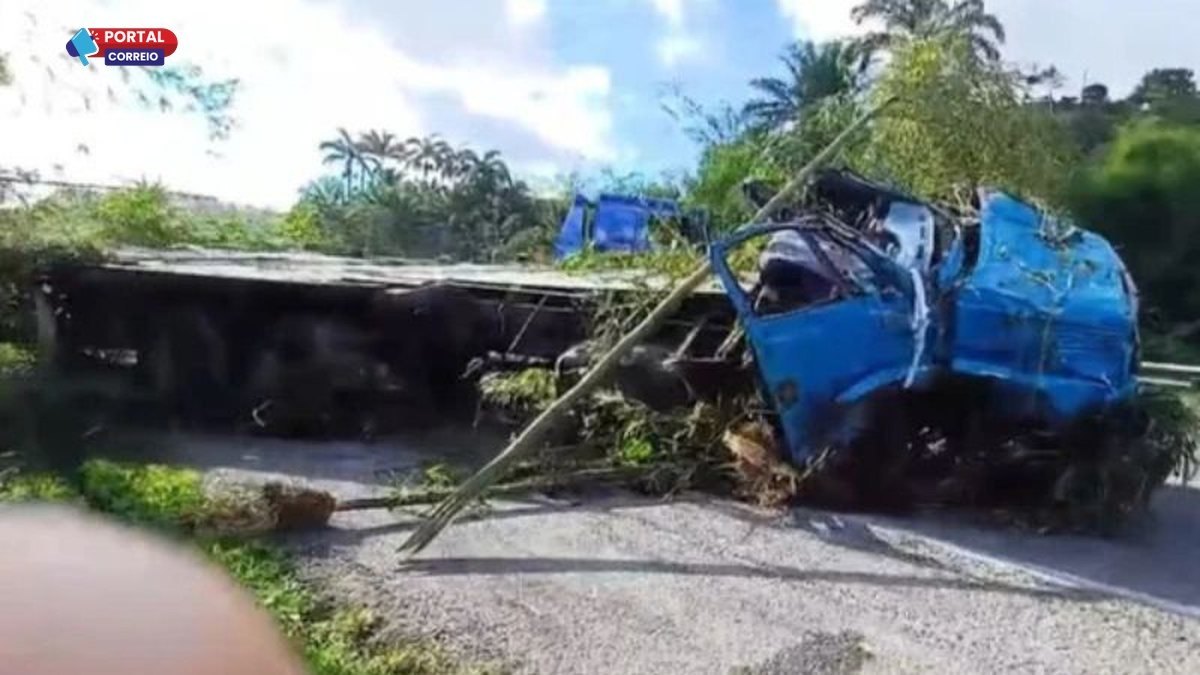 Tragédia na BR-324: Caminhoneiro morre após ser atropelado pelo próprio veículo